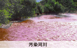 汚染河川